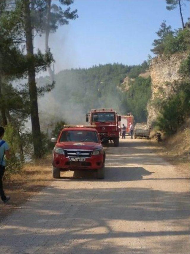 Balıkesir Dursunbey İle Bursa Büyükorhan Sınırındaki Orman Yangını Kontrol Altına Alındı