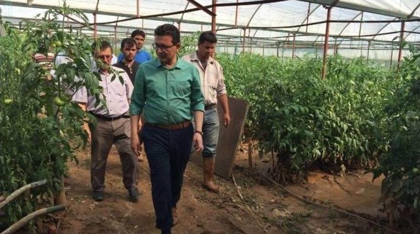 Ak Partili Atay Uslu Sel B&ouml;lgesinde İncelemelerde Bulundu