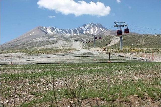 (özel Haber) Erciyes Kışın Beyaz, Yazın Yeşil Gelinlik Giyecek