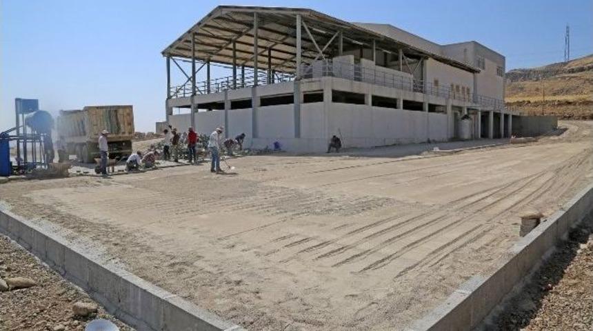 Cizre&rsquo;de Yeni Mezbahana Binasında &Ccedil;evre D&uuml;zenlemesi Yapıldı