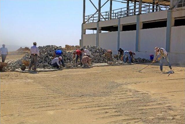 Cizre’de Yeni Mezbahana Binasında Çevre Düzenlemesi Yapıldı