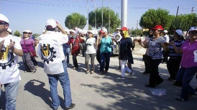 Tariş İşçileri Greve Başladı