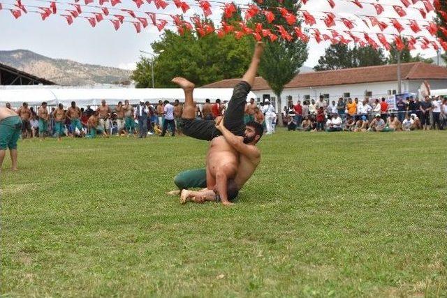 Turhal’da 20. Kocakavak Festivali