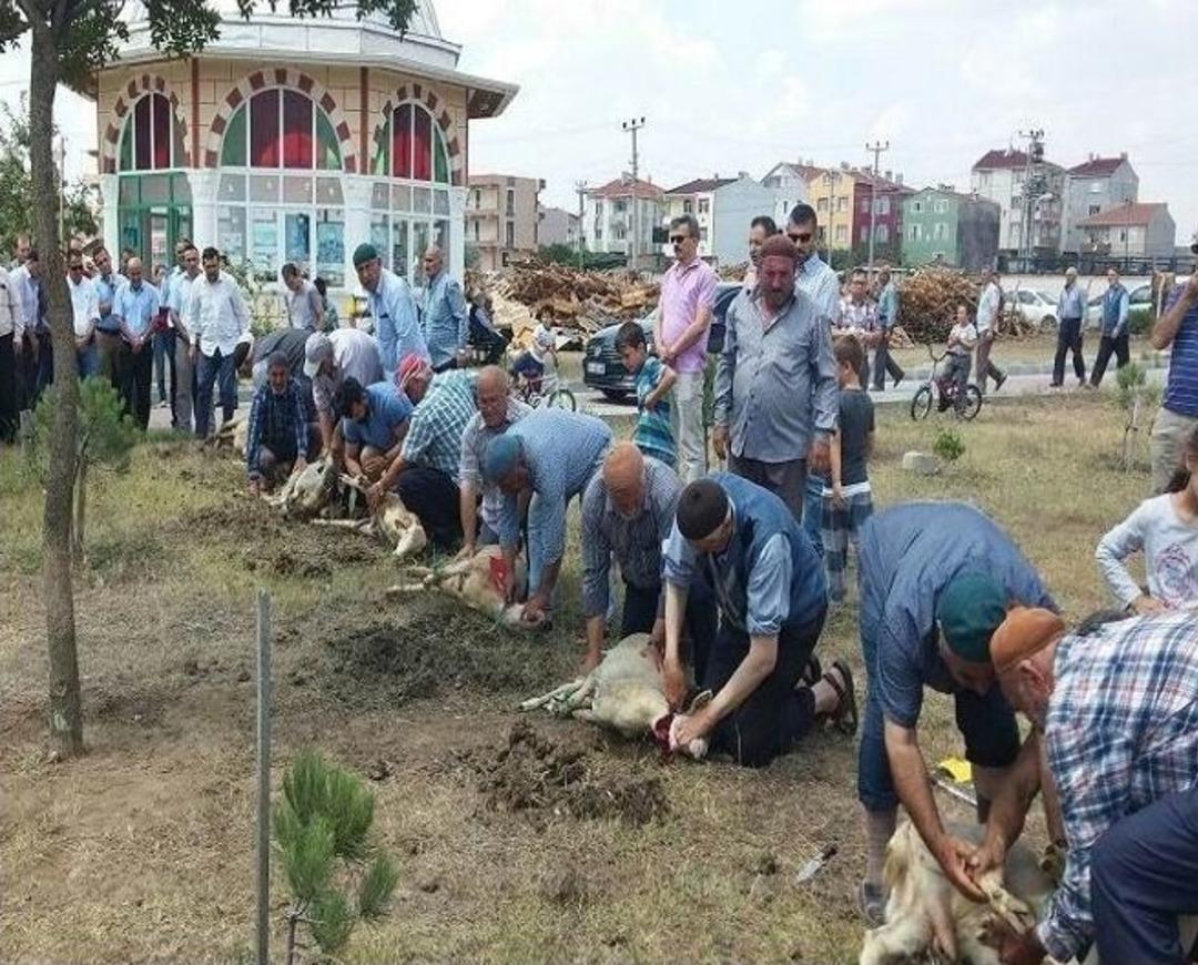 Darbe P&uuml;sk&uuml;rt&uuml;ld&uuml;ğ&uuml; İ&ccedil;in Kurban Kestiler