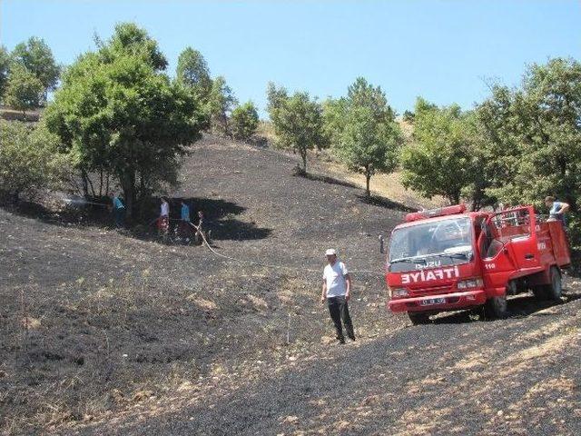 Hisarcık’ta Arazi Yangını