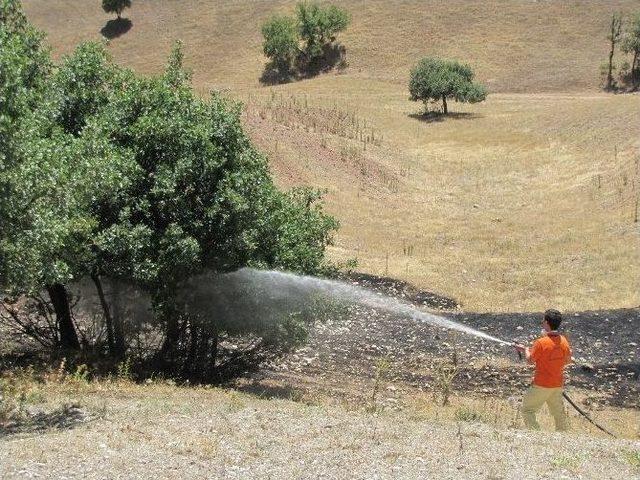 Hisarcık’ta Arazi Yangını