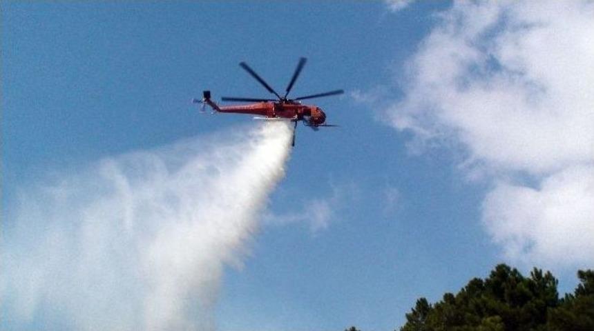 Pendik&rsquo;te 4 Hektar Ormanlık Alan K&uuml;l Oldu