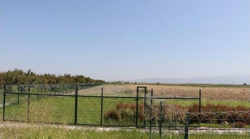 B&uuml;y&uuml;kşehirden 50 D&ouml;n&uuml;ml&uuml;k Sera Hamlesi