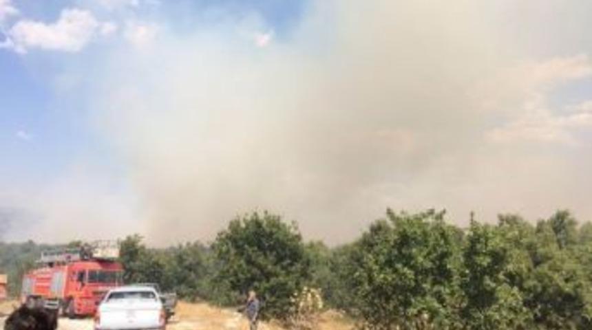 Dursunbey&rsquo;de Orman Yangını