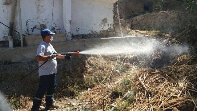 Gördes’te Haşere İle Mücadele Devam Ediyor