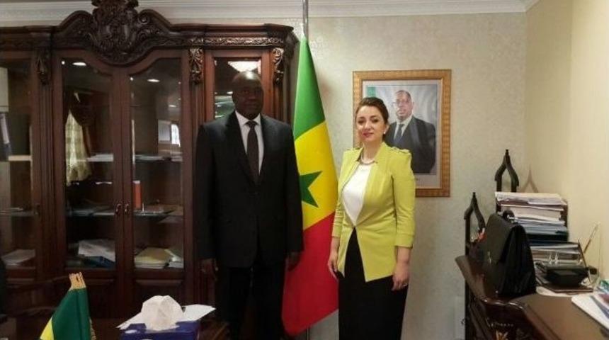 T&uuml;rkiye, Senegal İle Ekonomik Ticari İşbirliği Antlaşmaları Yapacak