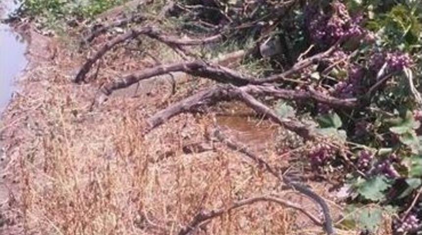Chp&rsquo;li Nurlu "&ccedil;ift&ccedil;iye Dolu Vurdu"