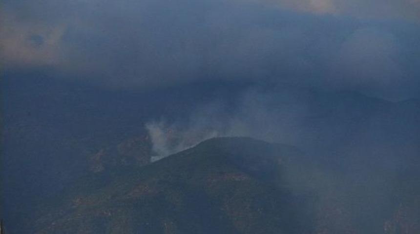 Erbaa&rsquo;da Orman Yangını