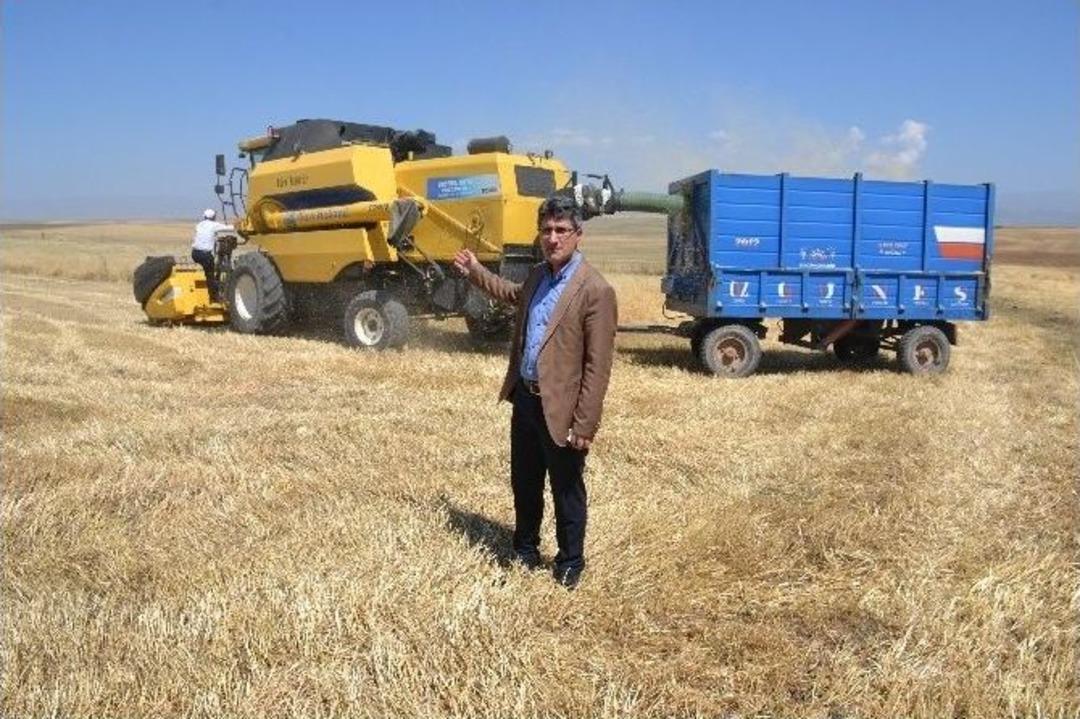 Ağrı&rsquo;da Hububat Hasadı Başladı