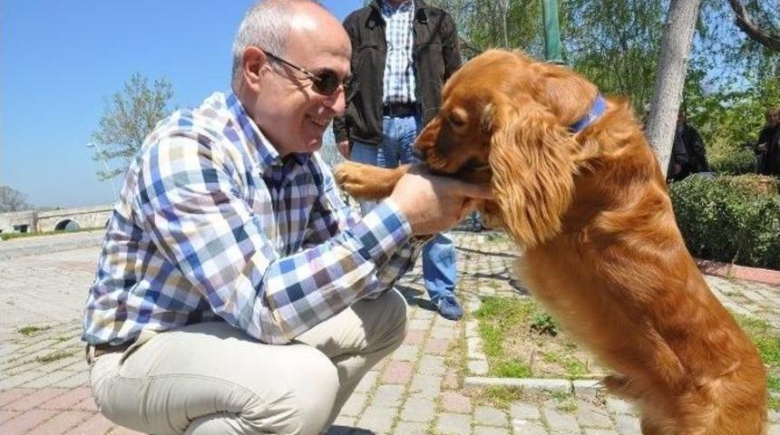 B&uuml;y&uuml;k&ccedil;ekmece Belediyesi&rsquo;nden &Ouml;rnek Uygulama