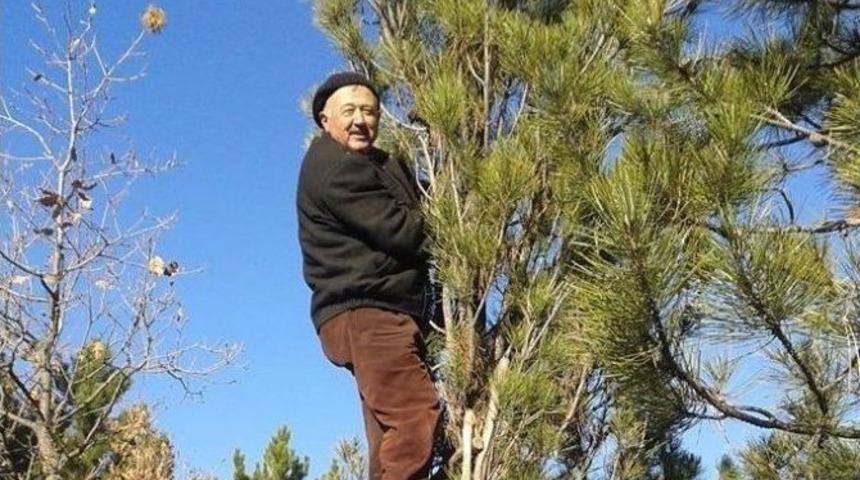 Kesilen Ağacın Altında Kalan K&ouml;yl&uuml; Hayatını Kaybetti