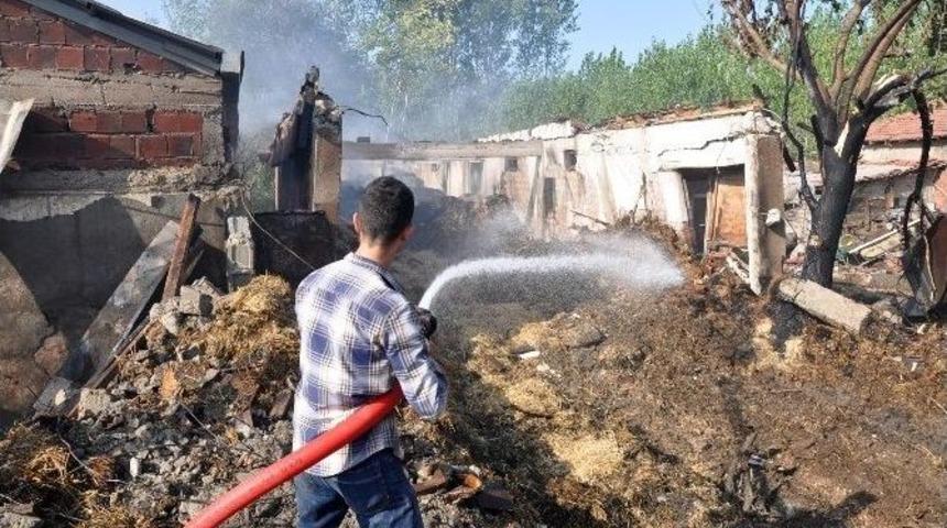 Samanlık Yangınında Hayvanlar Telef Oldu