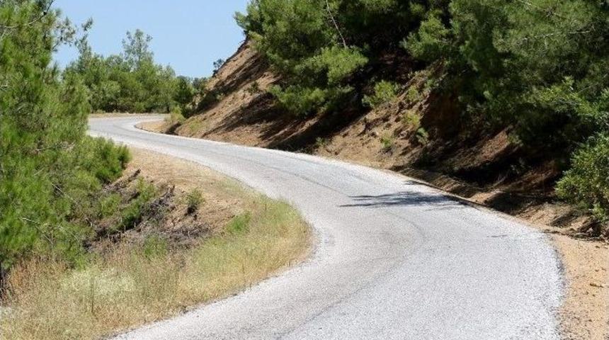 İki Mahalle Asfalta Kavuştu