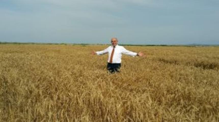 Mhp&rsquo;li Karakaya&rsquo;dan Bakan &Ccedil;elik&rsquo;e Yazılı Soru &Ouml;nergesi