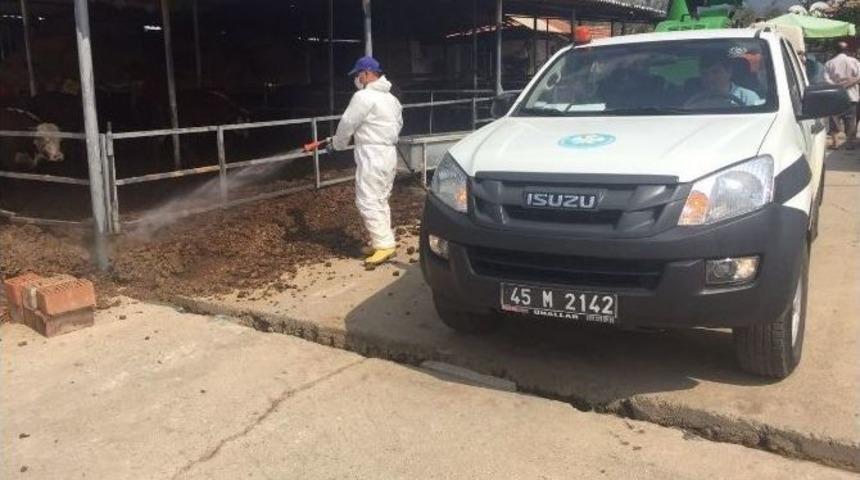 B&uuml;y&uuml;kşehir &lsquo;afrika Hastalığı&rsquo;na Savaş A&ccedil;tı