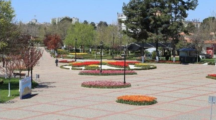 B&uuml;y&uuml;kşehir, G&uuml;ney Afrika&rsquo;da Gaziantep&rsquo;i Temsil Edecek