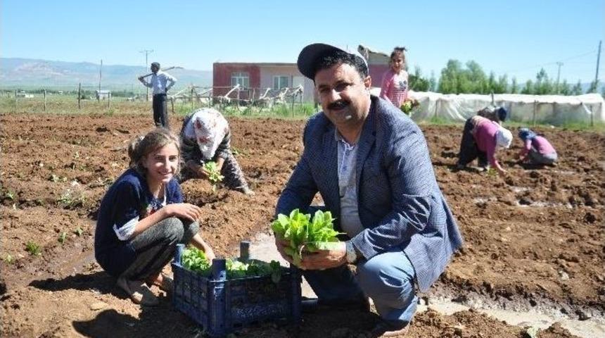 Solgun: “muş Ovası’nın Kurutuluşu İçin Mücadele Ediyoruz”