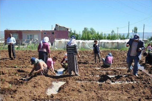 Solgun: “muş Ovası’nın Kurutuluşu İçin Mücadele Ediyoruz”