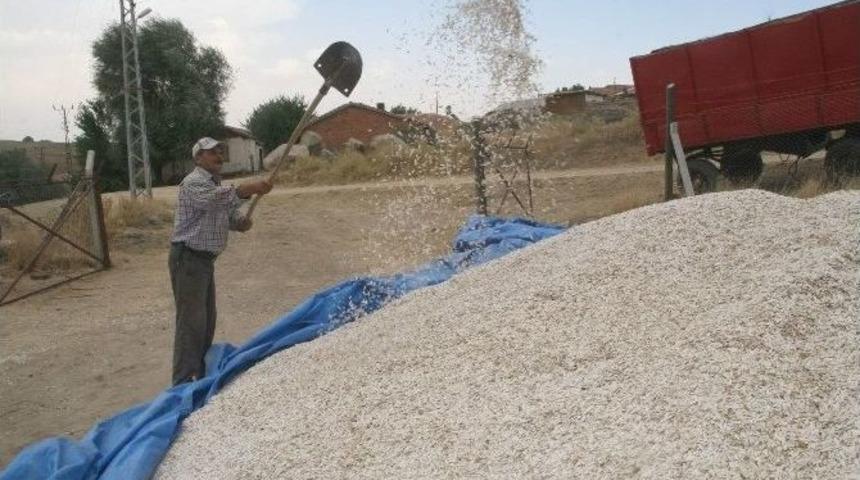 Yozgat Gıda Tarım Ve Hayvancılık İl M&uuml;d&uuml;rl&uuml;ğ&uuml;nden &Ccedil;ift&ccedil;iye Destekleme Uyarısı