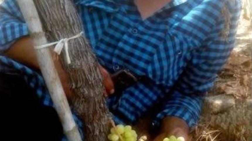 Asmanın G&ouml;vdesinden &Uuml;z&uuml;m &Ccedil;ıktı