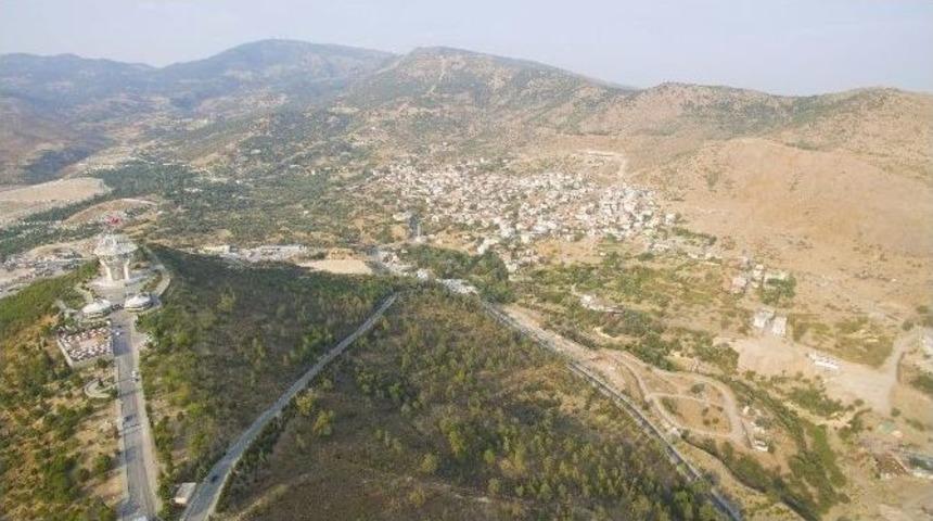 Barış İ&ccedil;in Koşacaklar