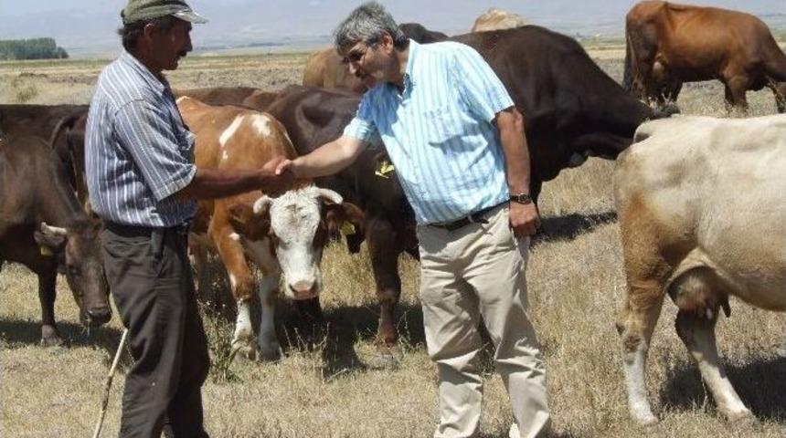 &Ccedil;ift&ccedil;ilere Af M&uuml;jdesi