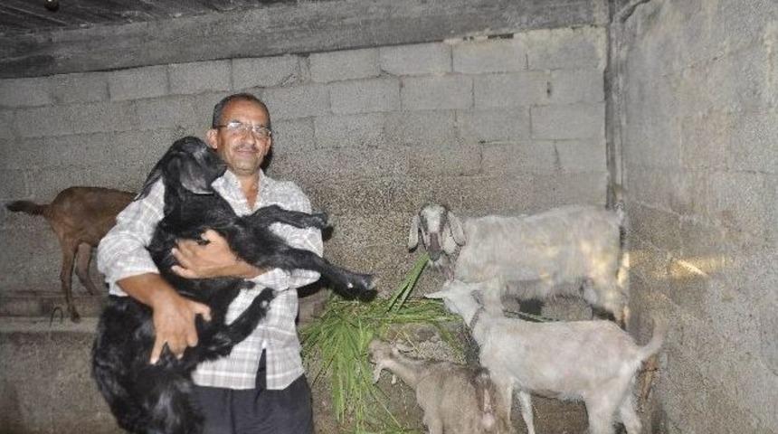 15 Temmuz Şehitlerinin Yakınları İ&ccedil;in Duygulandıran Yardım