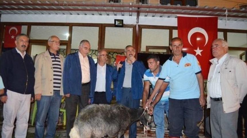 Adilcevaz&rsquo;da Kurbanlı Demokrasi N&ouml;beti