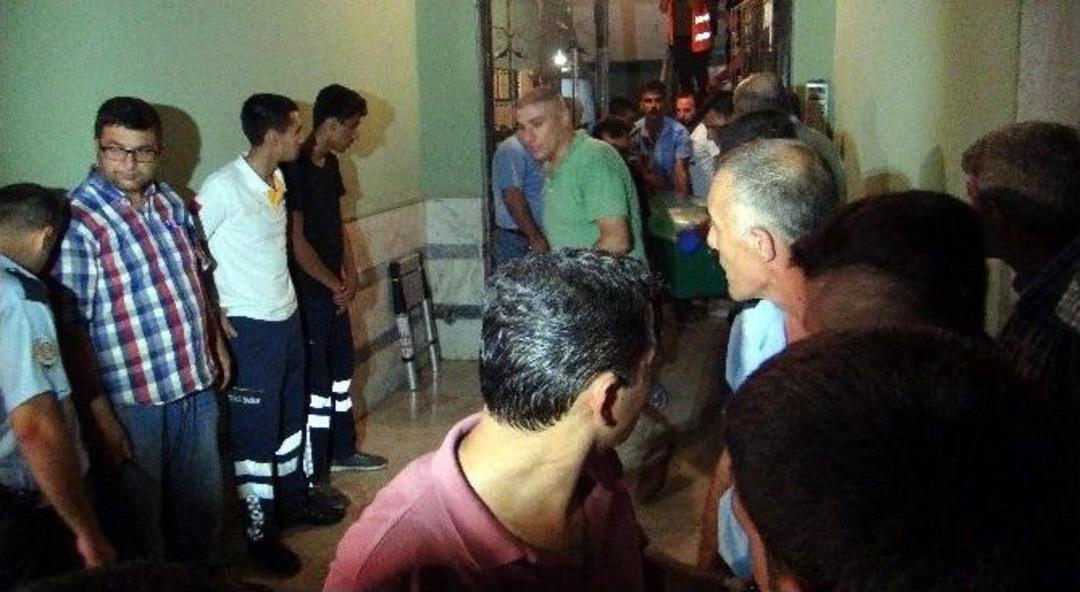 Asans&ouml;rde Facia