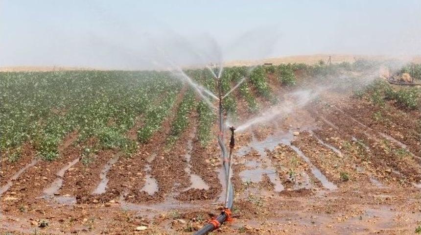 Dicle Elektrik Kayıtsız &Ccedil;ift&ccedil;ileri De Uyardı