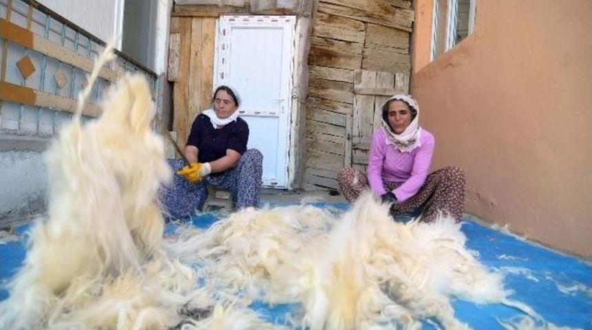 Kadınların Y&uuml;n &Ccedil;ırpma Mesaisi