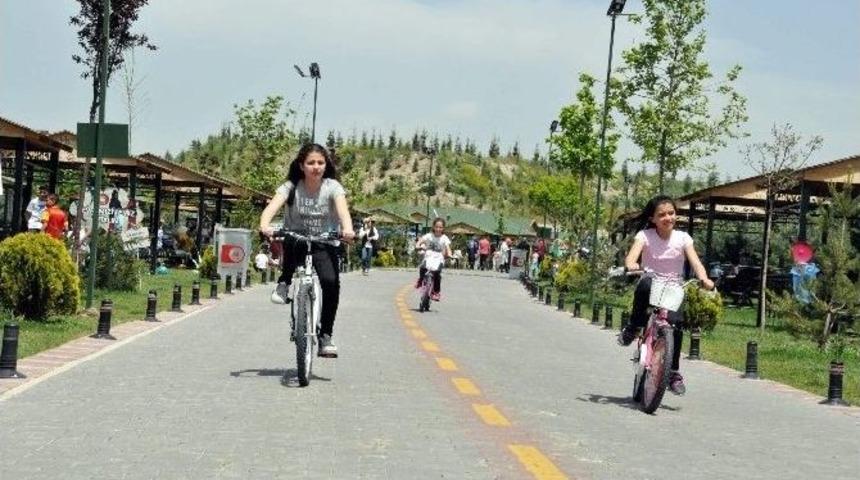Piknik Severlerin Tercihi Kartaltepe Kent Ormanı