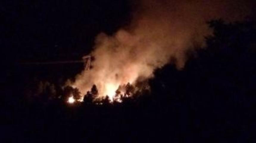 Elazığ&rsquo;da Ormanlık Alanda &Ccedil;ıkan Yangın 6 Saatte S&ouml;nd&uuml;r&uuml;ld&uuml;