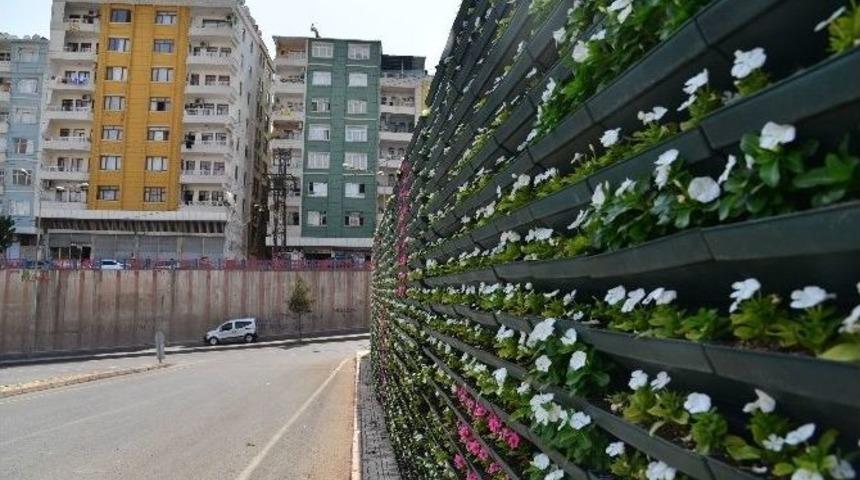 Diyarbakır&rsquo;da Duvarlar Tabloya D&ouml;n&uuml;şt&uuml;r&uuml;l&uuml;yor