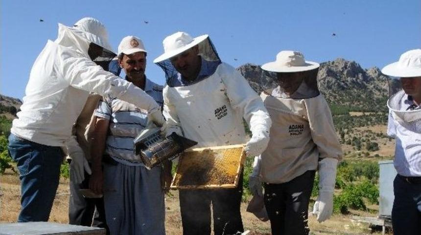 Adana&rsquo;da 9 Bin 700 Ton Bal Rekoltesi Bekleniyor