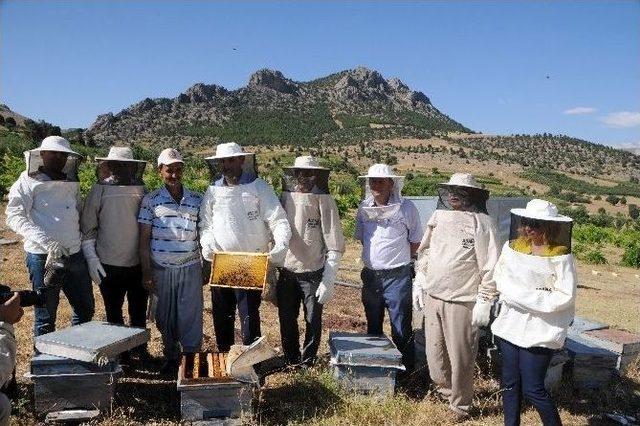 Adana’da 9 Bin 700 Ton Bal Rekoltesi Bekleniyor