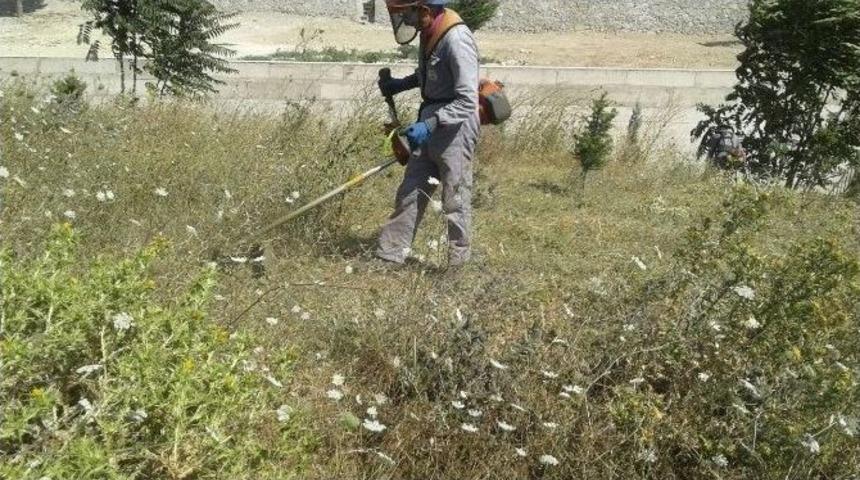 Dilovası&rsquo;nda Park Ve Bah&ccedil;e Bakım &Ccedil;alışmaları Devam Ediyor