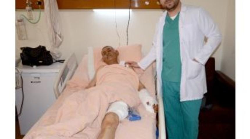 Sarıkamış&rsquo;ta Ayı Saldırısı