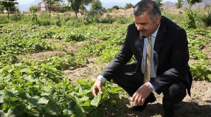 Organik Bah&ccedil;e&rsquo;nin Temeli Atılıyor