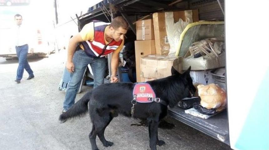 Yolcu Otob&uuml;s&uuml;nde Esrar Ele Ge&ccedil;irildi