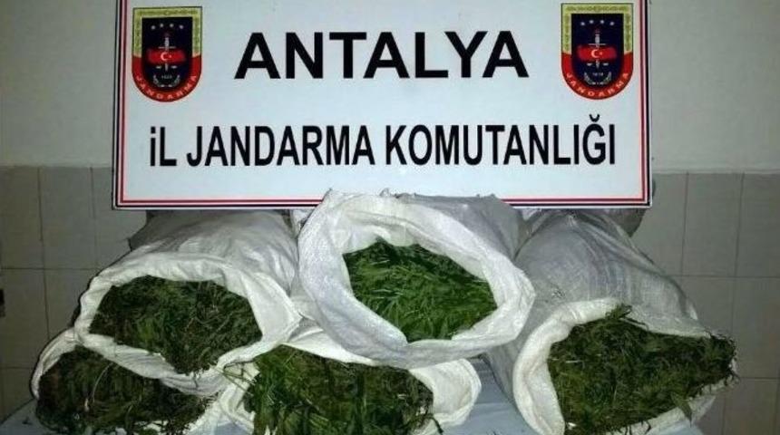 Antalya&rsquo;da Uyuşturucu Operasyonu: 8 G&ouml;zaltı