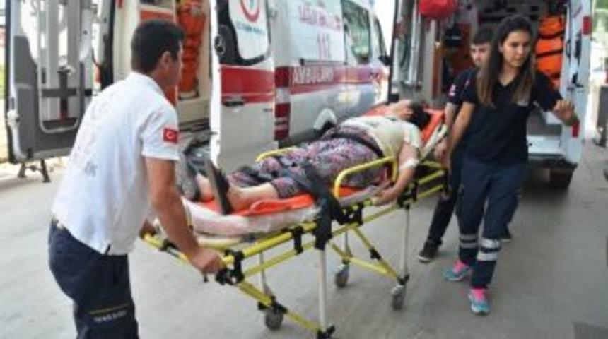 Fındık Toplarken D&uuml;şen İş&ccedil;i Yaralandı