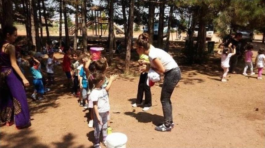 &Ccedil;ocuklar Ormanı Keşfetti