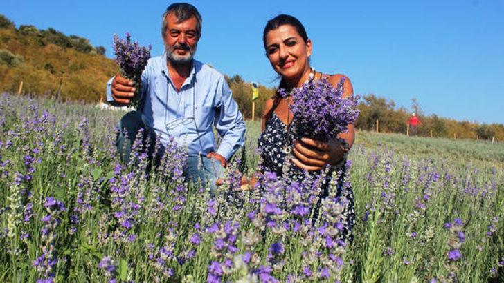Hobi olarak başladı: 100 Euro'ya lavanta yağı satıyor  G2