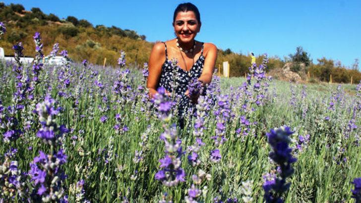 Hobi olarak başladı: 100 Euro'ya lavanta yağı satıyor  G3